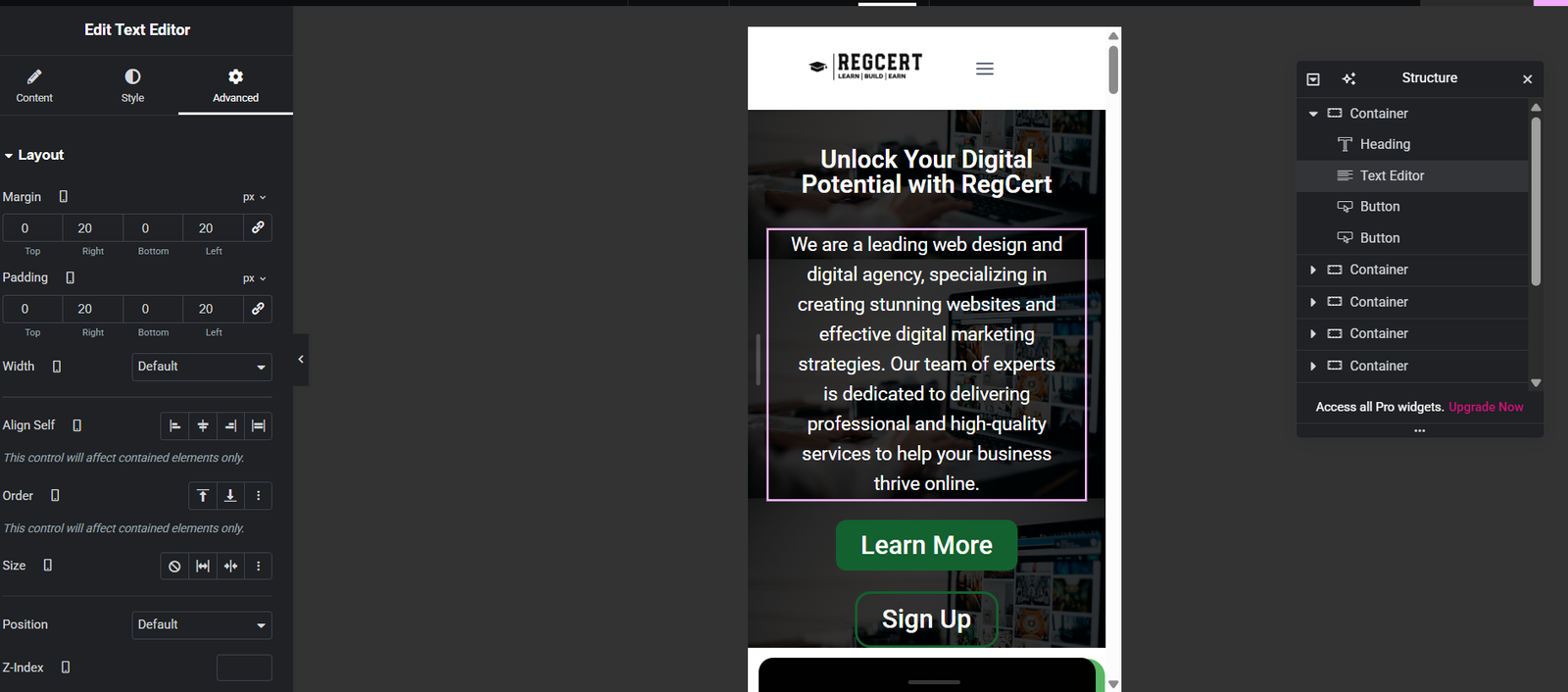 Easiest Way to Design a Responsive Website on WordPress Using Elementor