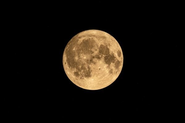 free Udemy web development courses