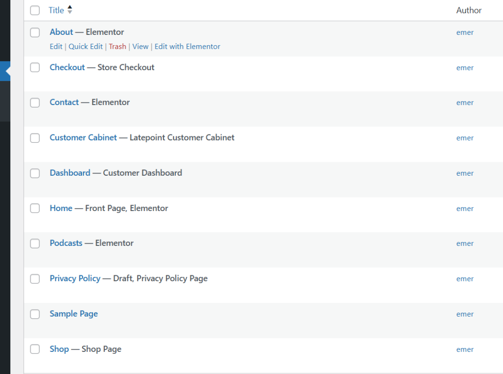 The WordPress pages section in the dashboard