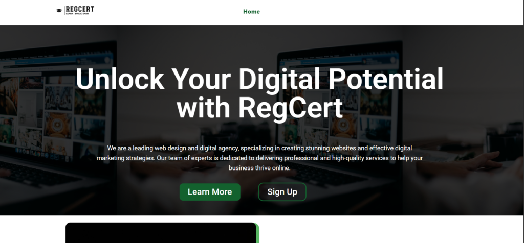 Example of a professionally designed WordPress homepage