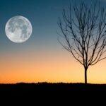 How to Design a High-Converting Contact Page with Elementor