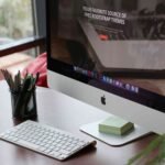 Best WordPress Theme for Beginners: How to Choose the Right One in 2026