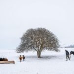 How to Write Your First WordPress Blog Post