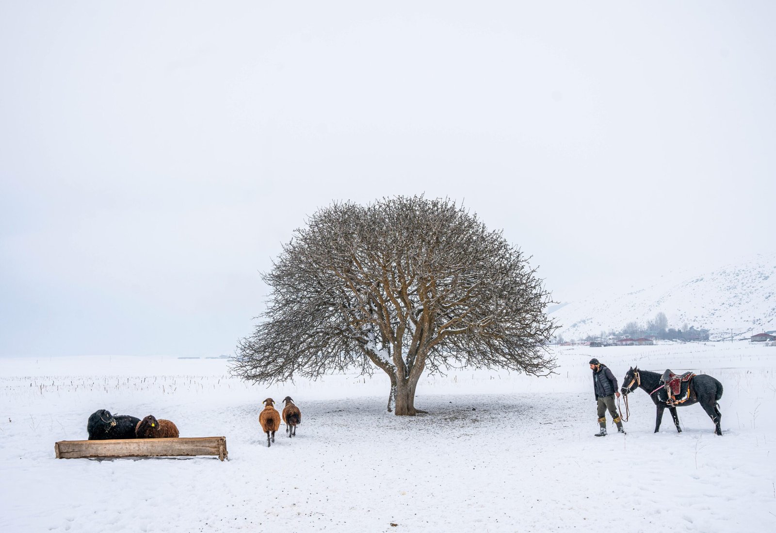 How to Write Your First WordPress Blog Post